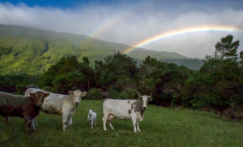 Десять строк об Азорахphoto preview