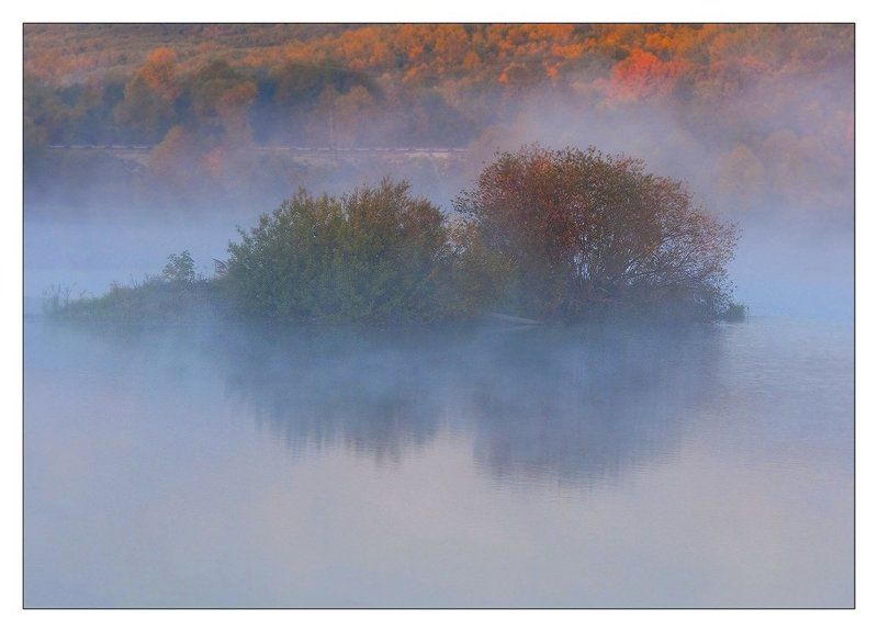Два Йожика на утреннем променаде....photo preview