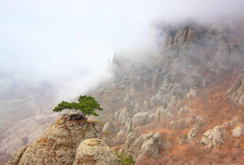 Дыхание Гор.photo preview