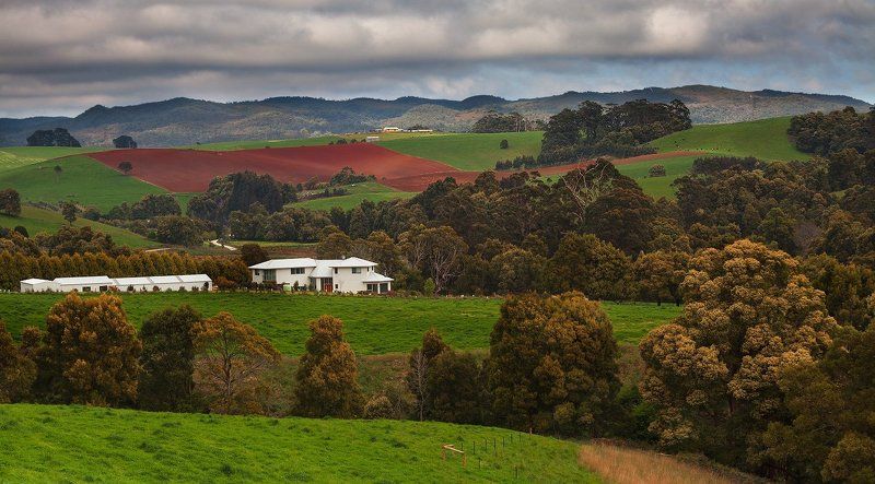 тасмания Путешествуя по Тасмании.photo preview