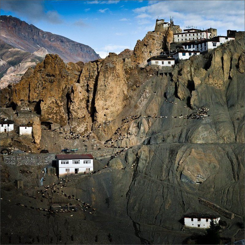 Утренний выпас фото превью