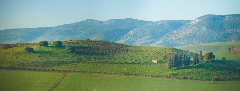 Израильская    Тоскана.photo preview