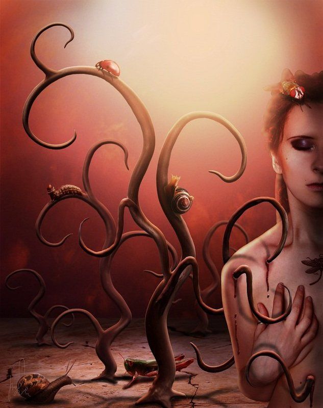 Войди в Мой сад...photo preview