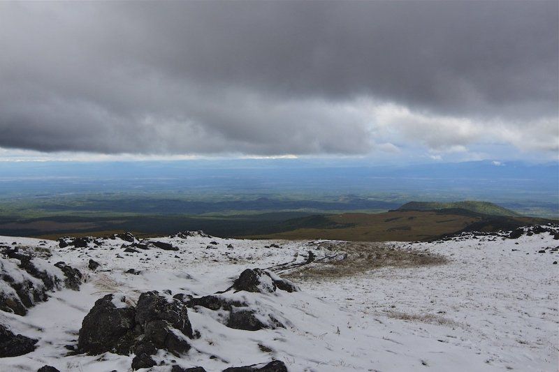 по дороге в летоphoto preview