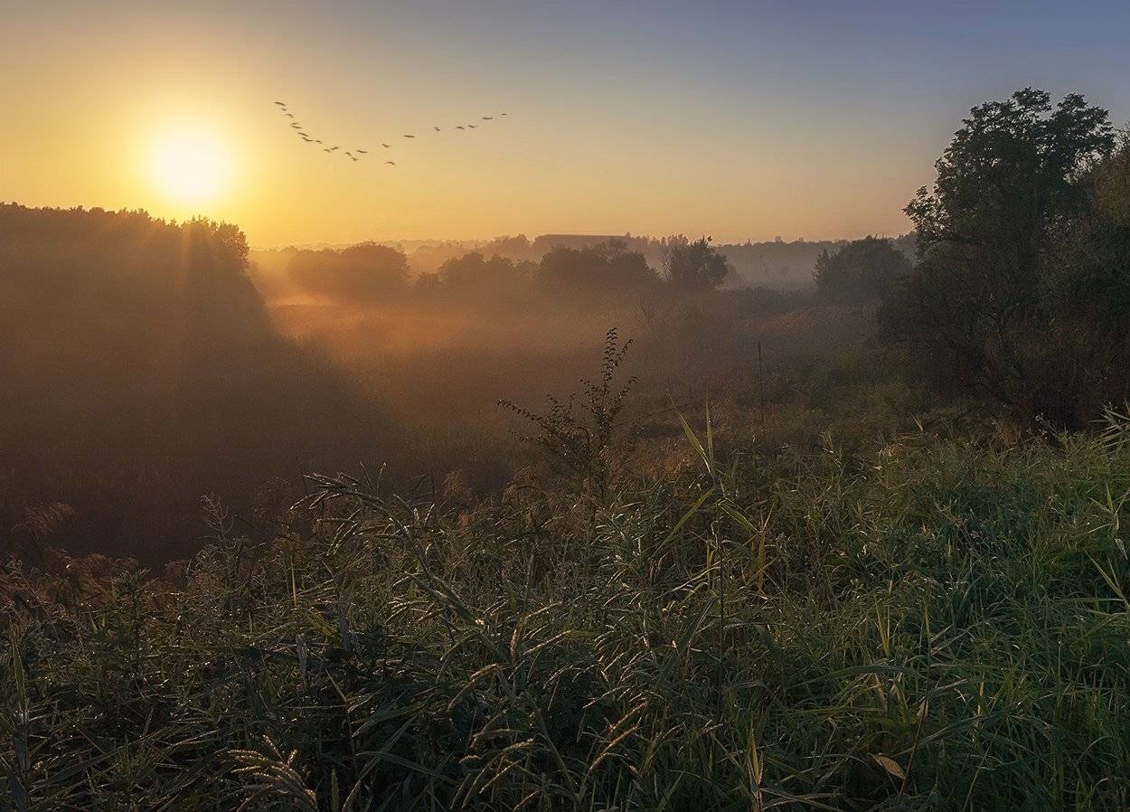, Игорь Мелекесцев