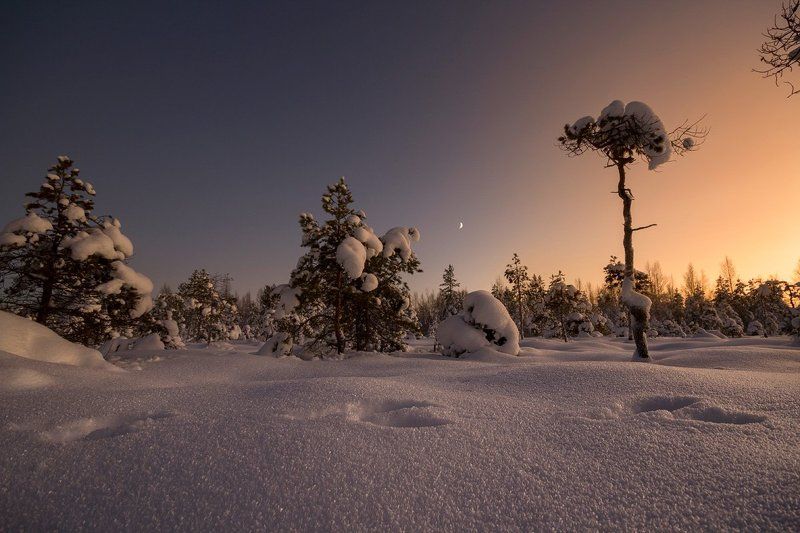 Зима на севереphoto preview