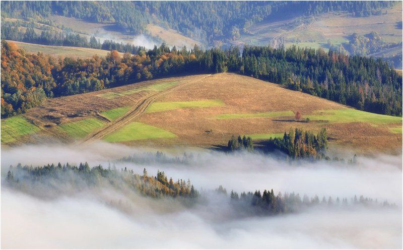 Вспоминая осень...photo preview