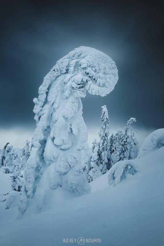 зима, север, пейзаж, снег, вечер Сумрачный деньphoto preview