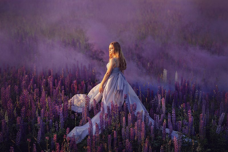 природа, удмуртия, люпины, люпинове поле, природа россии Удмуртский провансphoto preview