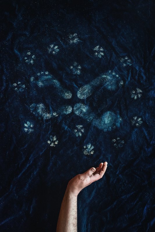 Моя вселеннаяphoto preview