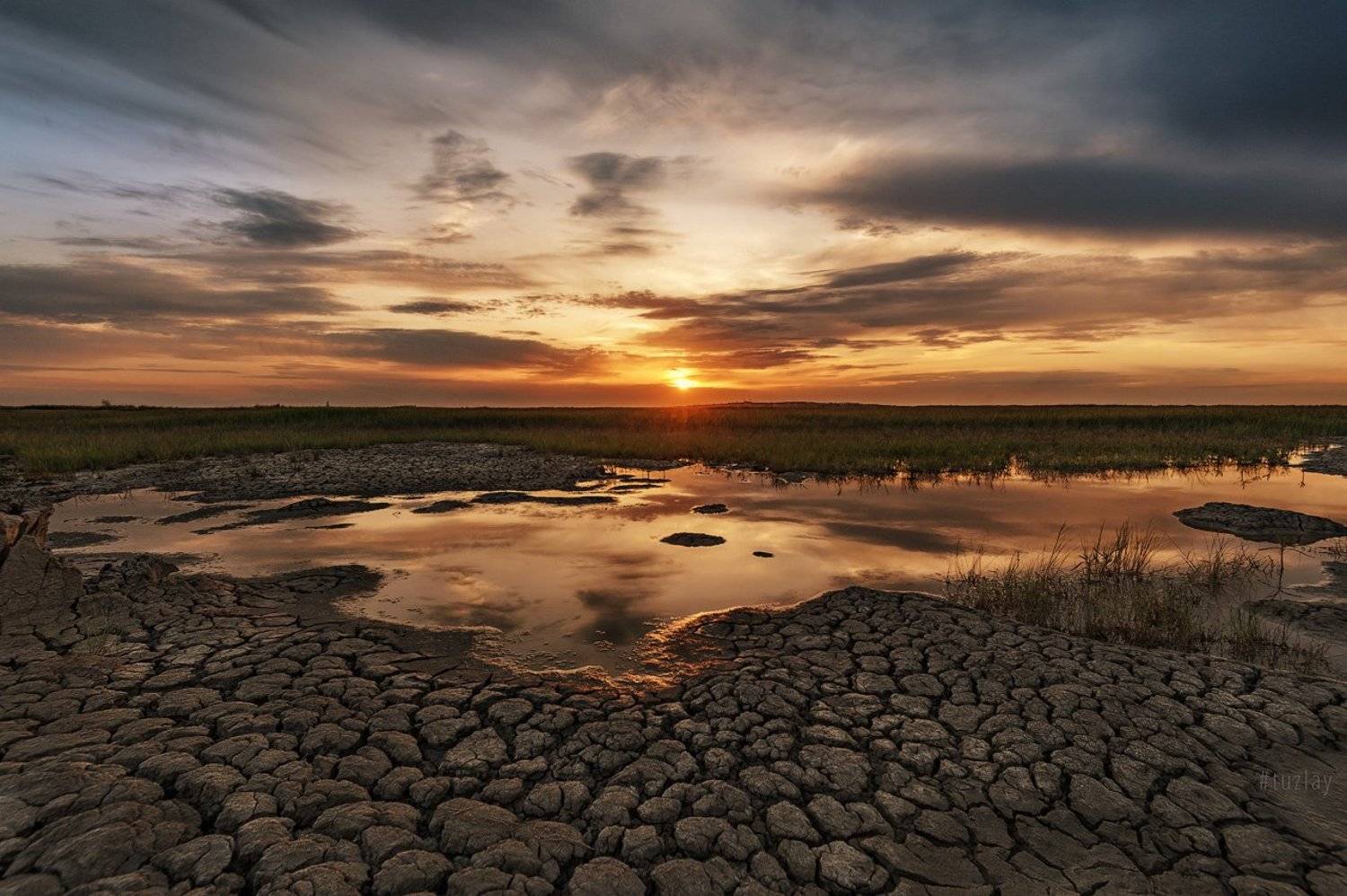 , Владимир Тузлай