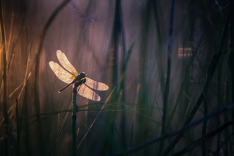 Провожая уходящий деньphoto preview