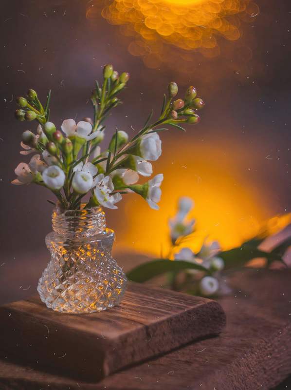 натюрморт, боке, прозрачный, закат, солнце, бутылка, цветы, стекло, красивый, прозрачный, блики, still life Вечерняяphoto preview