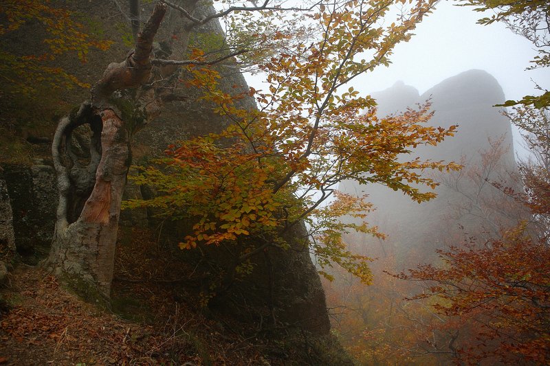 крым, горы, осень, демерджи Демерджи в октябре фото превью