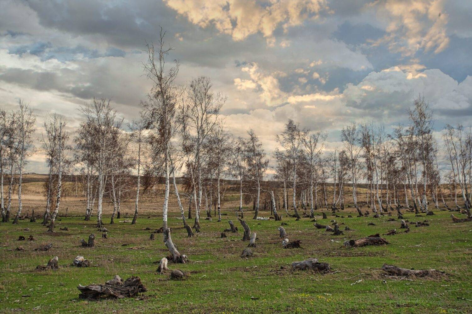 южный урал,оренбургская область, орск, новотроицк,, Качурин Алексей