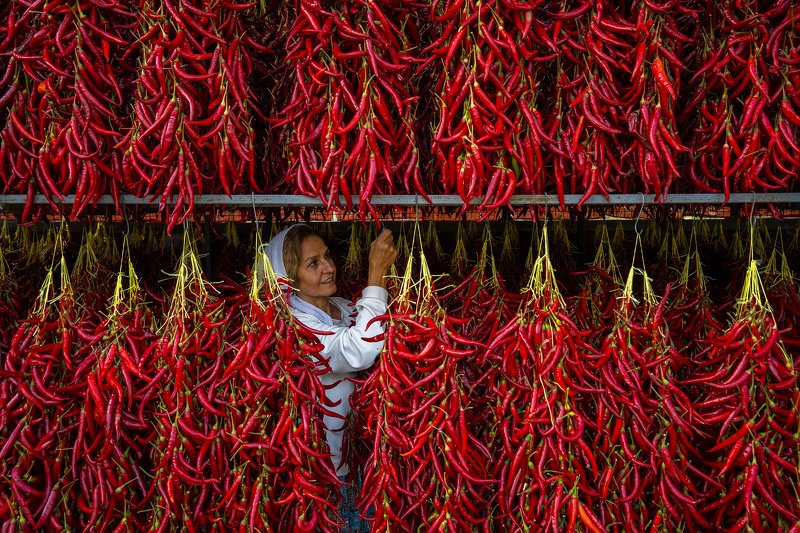 In redsphoto preview