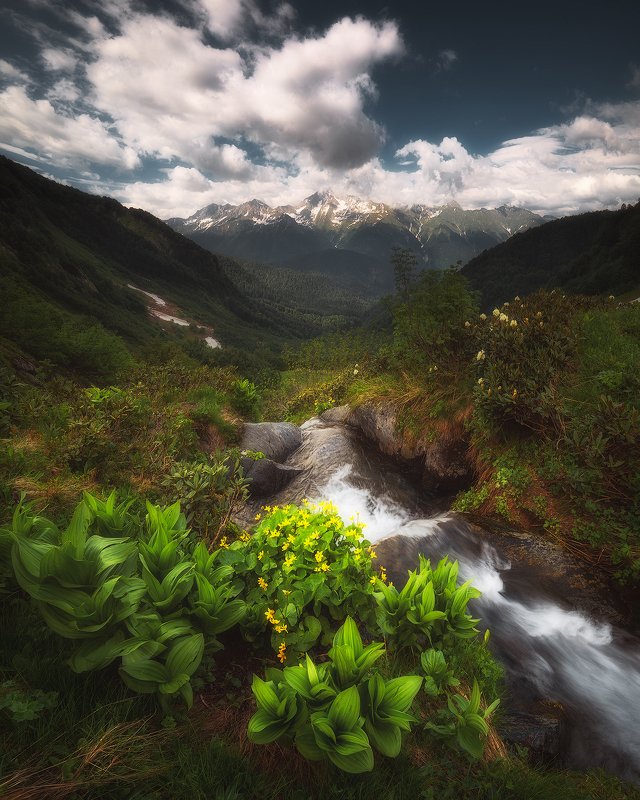 горная река, горы, лето, чемерица, пейзаж, кавказ У истоков реки Ачипсеphoto preview