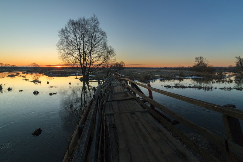 филипповское, шерна Весна в Филлиповскомphoto preview