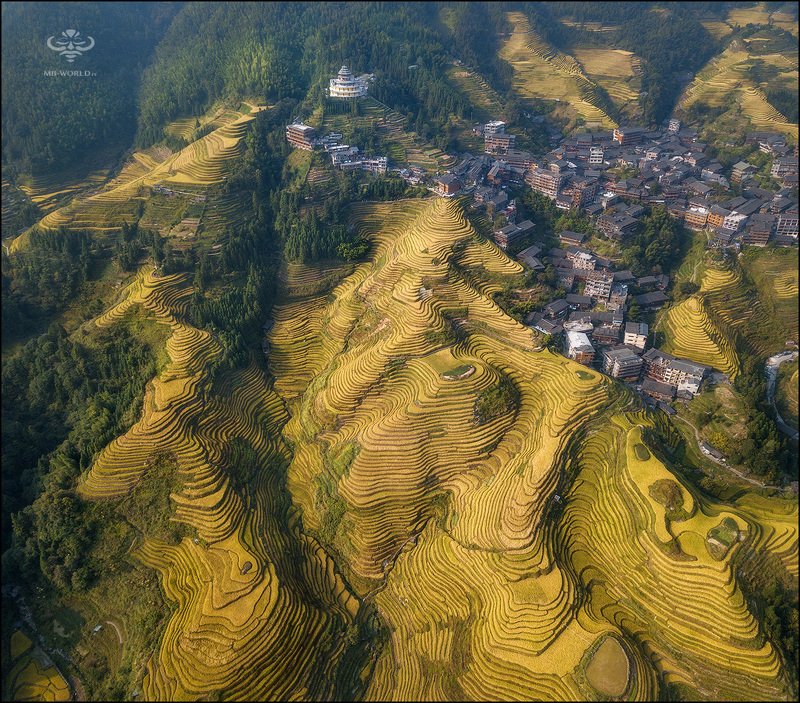 Китай, рисовые террасы, дрон,  Рисовые террасы Пинь Ан (Китай)photo preview