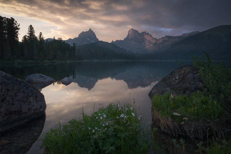 Star Birdphoto preview