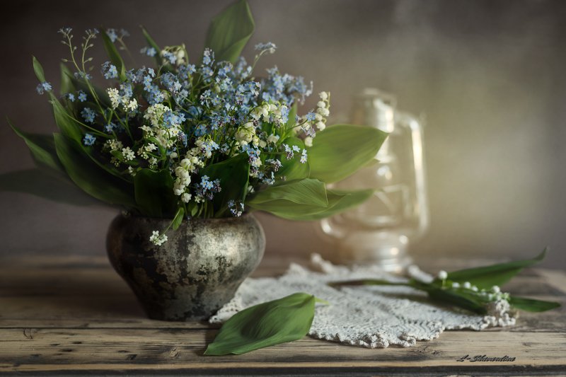 Незабудкиphoto preview