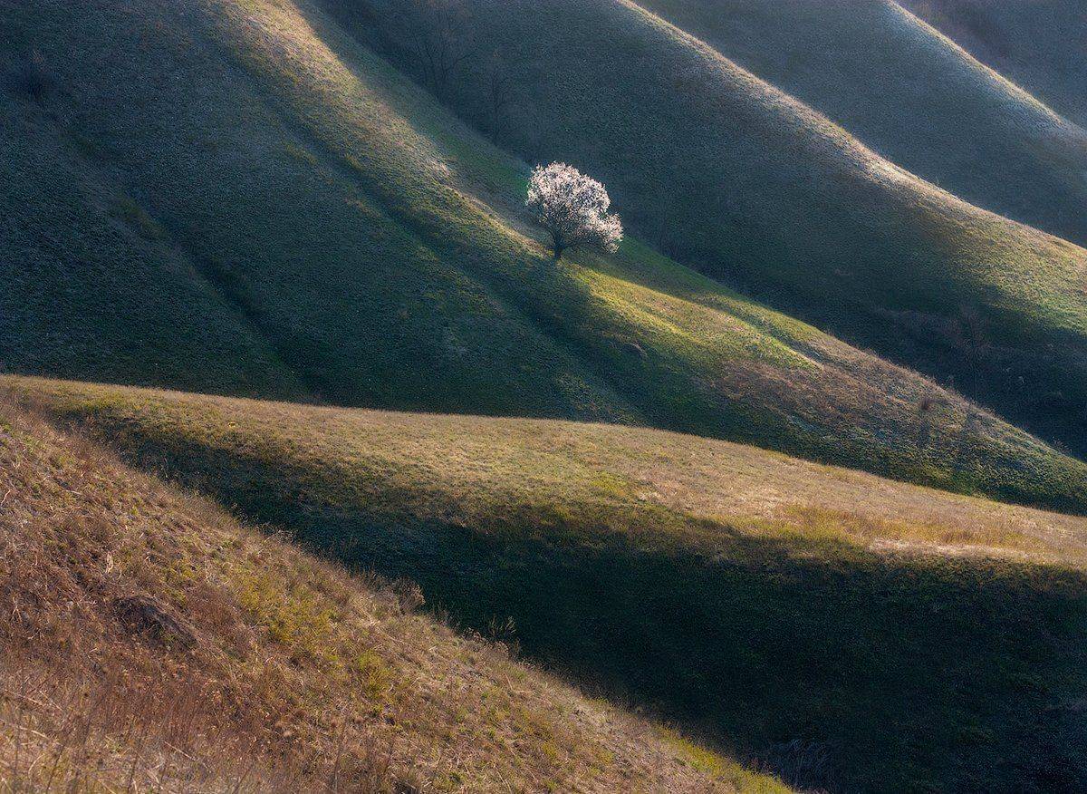 , Дитковский Евгений