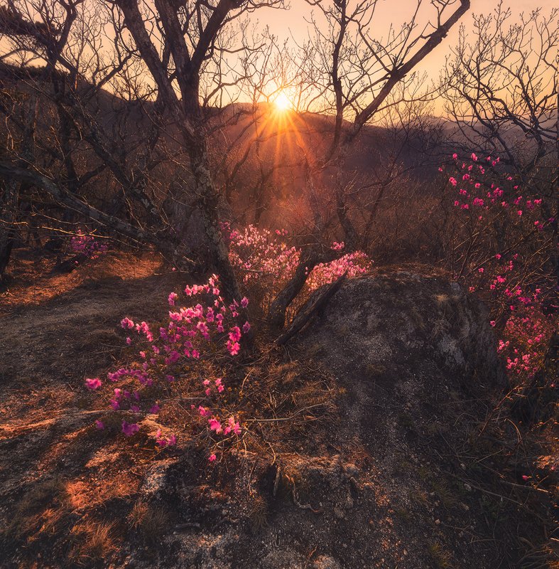 ,,Закат в Долине Атлантов,,photo preview