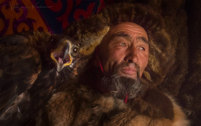 Eagle Hunter.photo preview