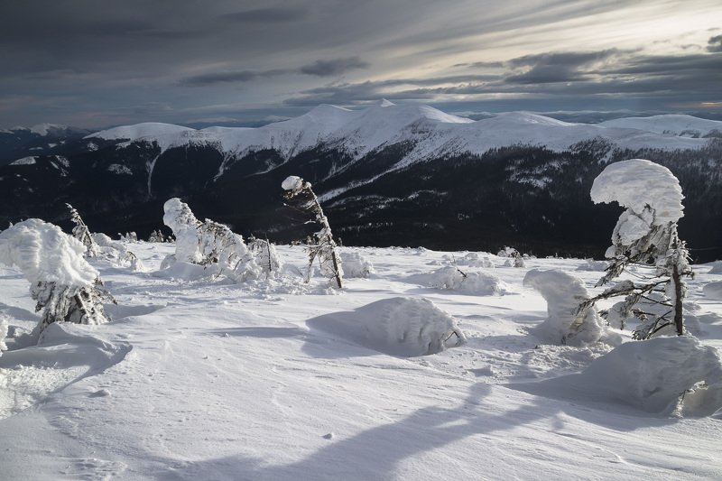 украина, карпаты, карпати, горганы, сывули, сивулянський, хребет, зима, Сывулькиphoto preview