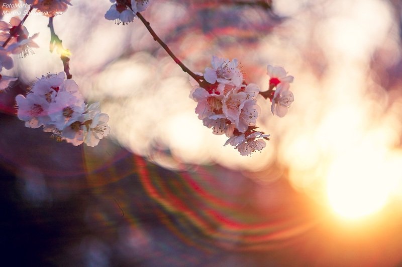 Доброе утро...photo preview