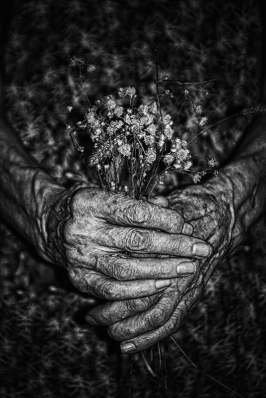 woman, old age, old woman, hands, flowers, женщина, старость, старуха, руки, цветы, conceptual, black and white,  концептуально, черно-белое I hide myself within my flowerphoto preview