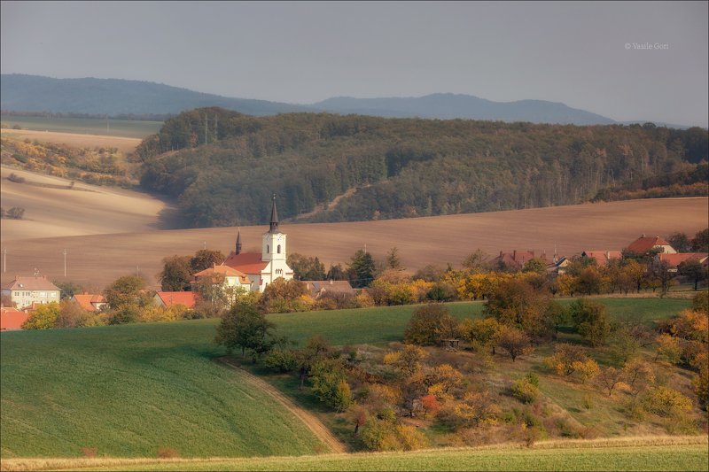 южная моравия,пейзаж,ветеров,линии,south moravian,lines,свет,czech,осень,чехия,landscapes,поле,деревня,лес СОЛНЕЧНЫЙ ВЕТЕРОВphoto preview