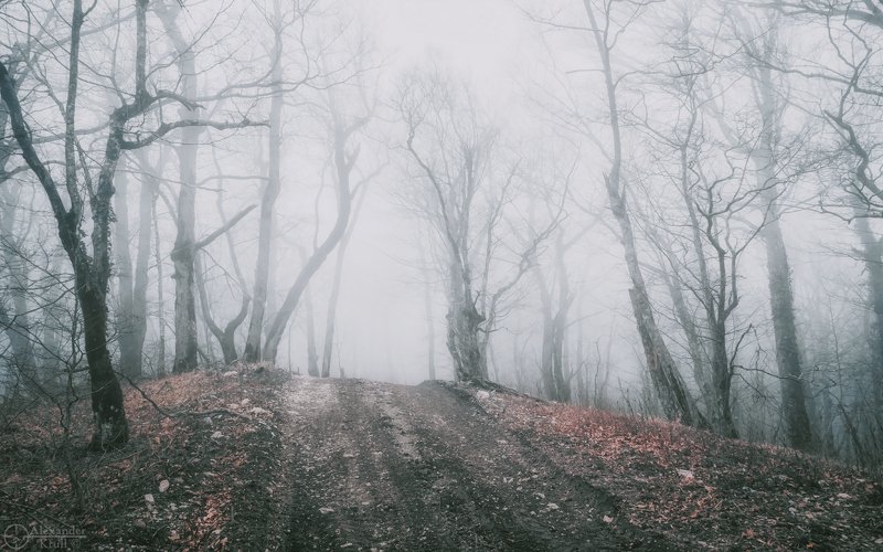 Сквозь холодное молоко...photo preview