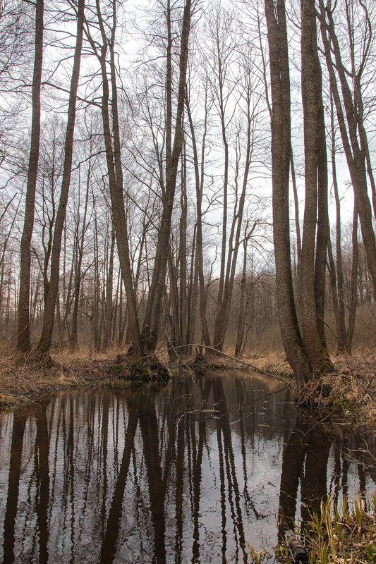 Весенний пейзаж на рекеphoto preview