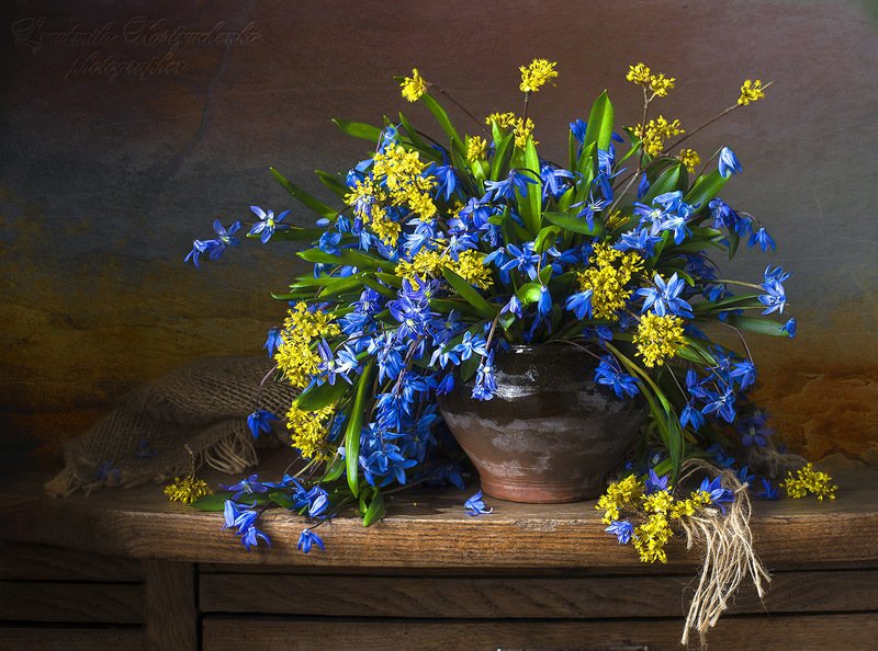 натюрморт с с пролесками,весна,букет,голубые,синие цветы,художественное фото,искусство. photo preview