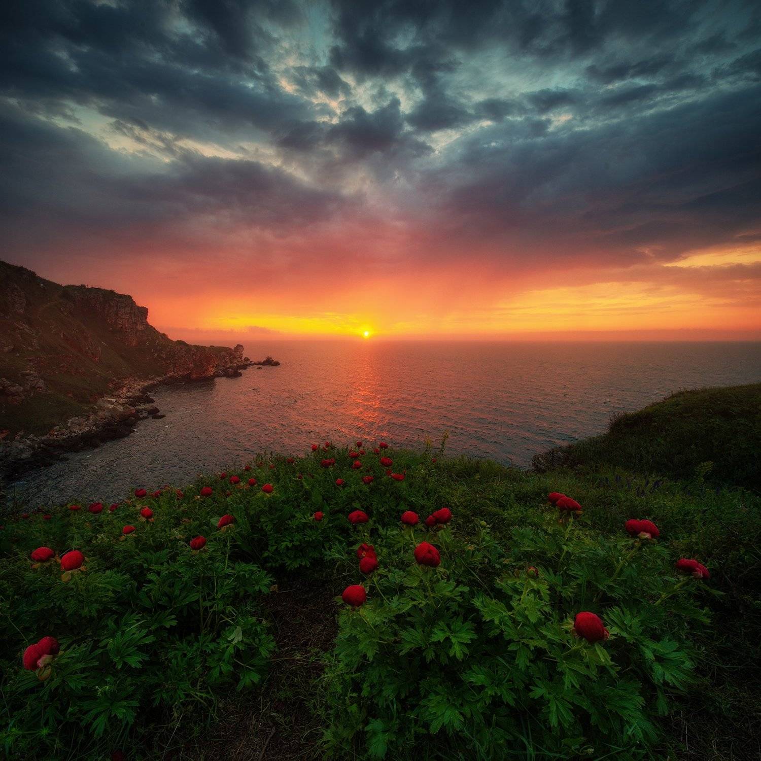 ***. Автор: Красимир Матаров , Красимир Матаров