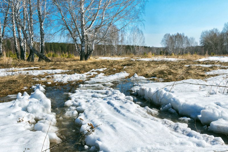 Зауральская веснаphoto preview
