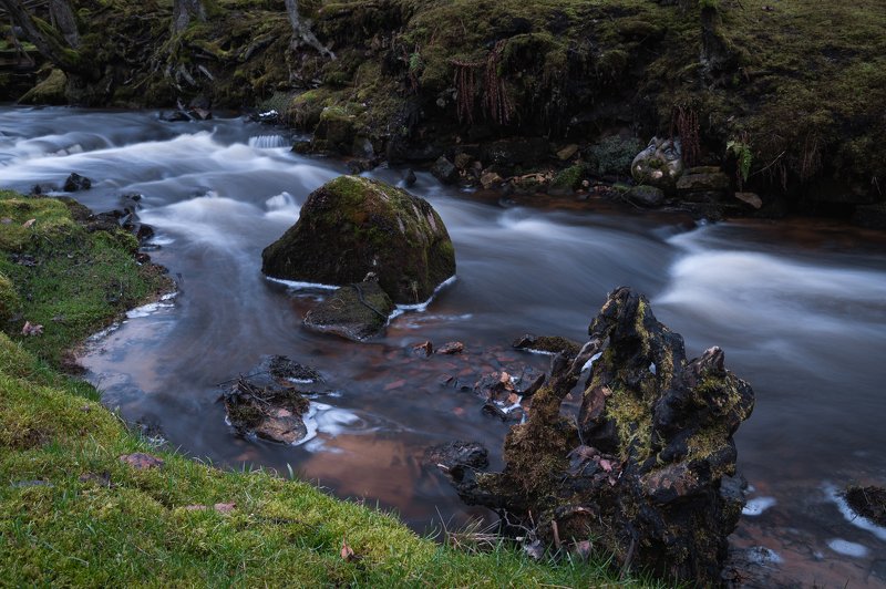река камни вода пейзаж трава мох  Каменное лицоphoto preview