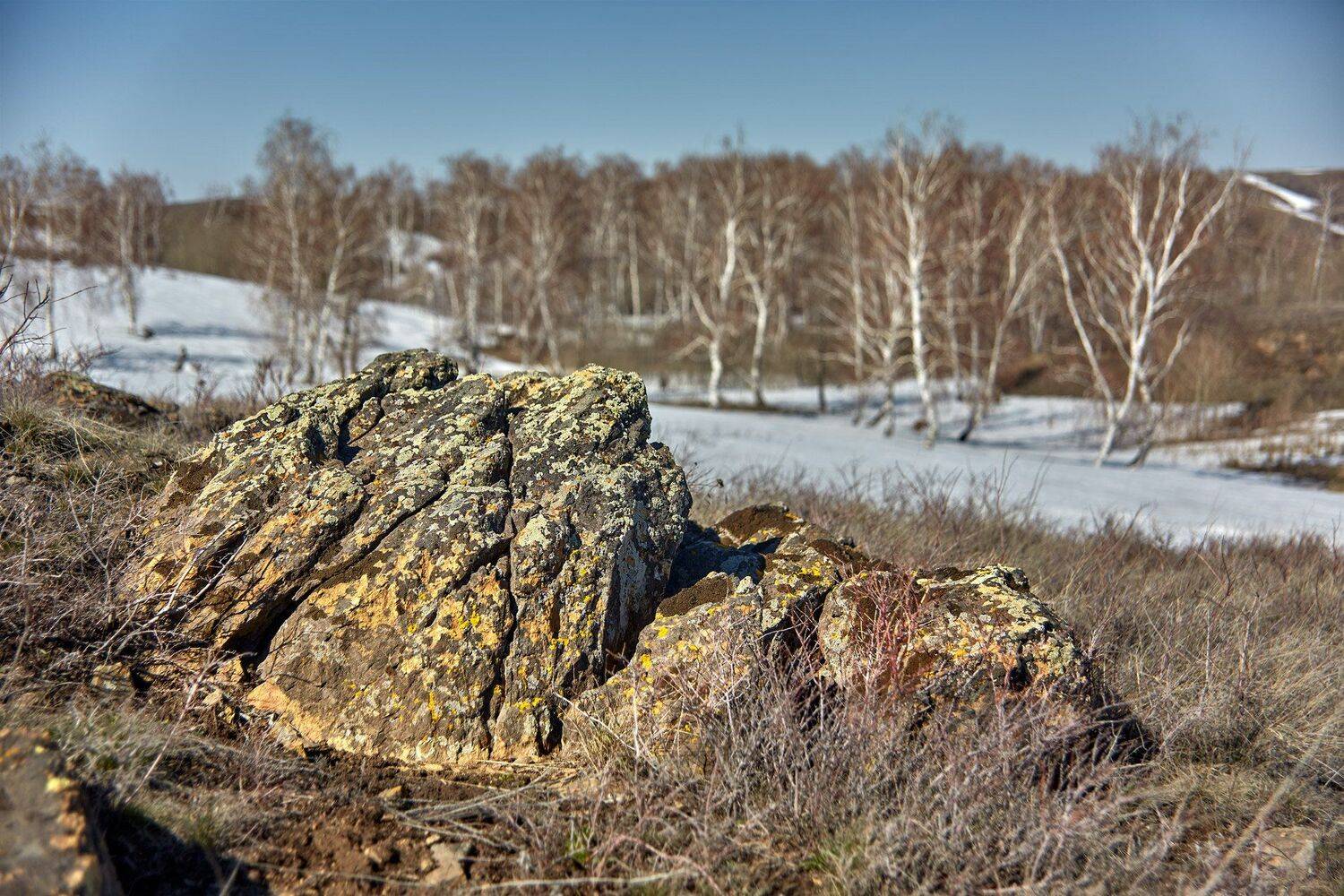 Весна на Южном Урале. Автор: Качурин Алексей южный урал,оренбургская область, орск, новотроицк,, Качурин Алексей