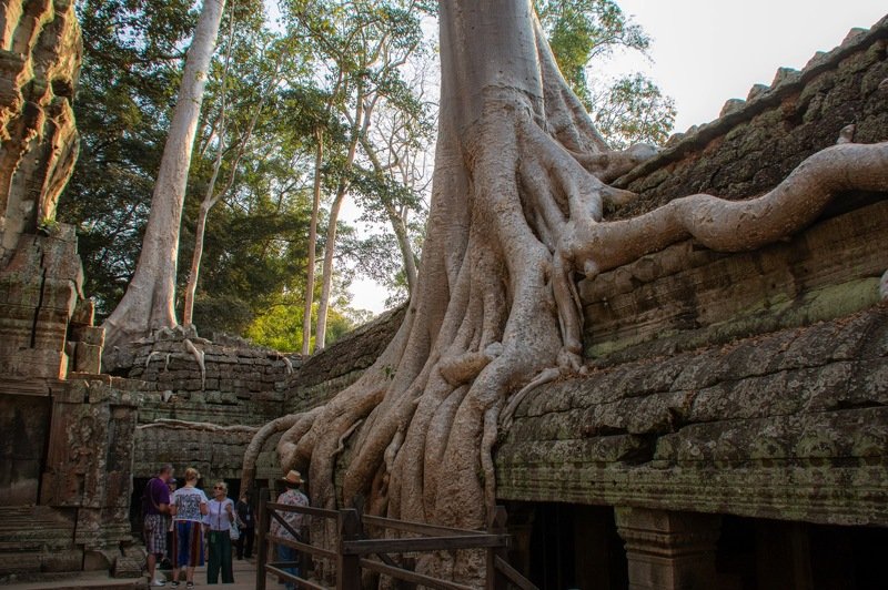 Ta Prohm templephoto preview