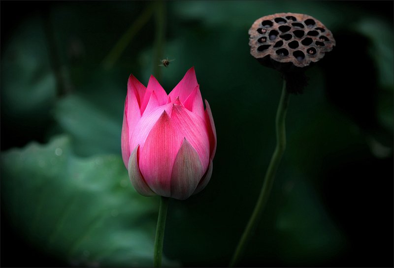 Сентябрьphoto preview