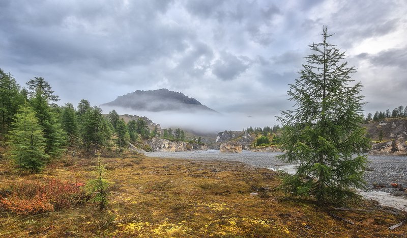 Утроphoto preview