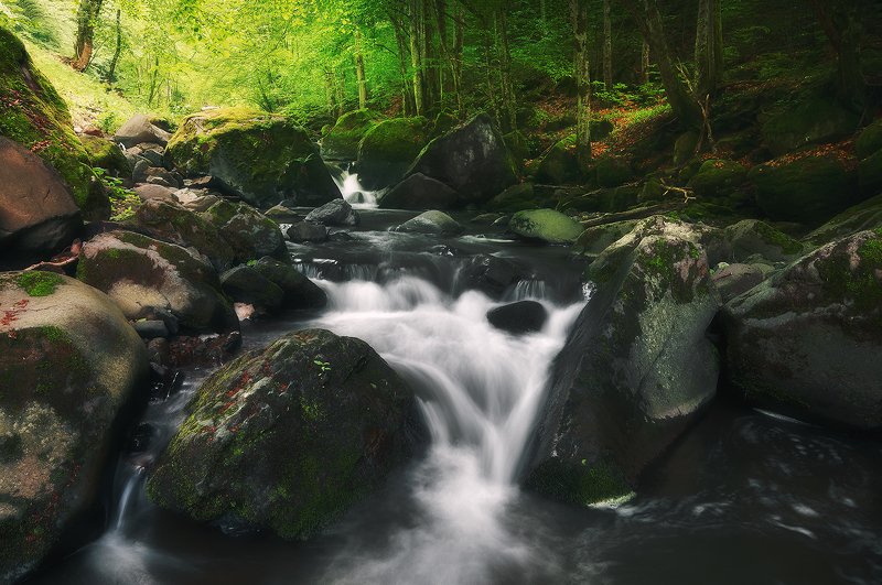 Even flowphoto preview