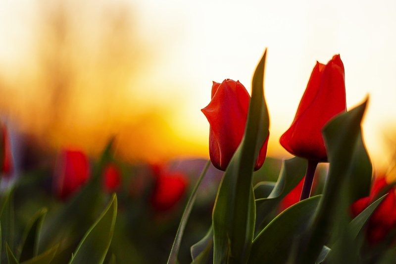 Доброе утро...photo preview