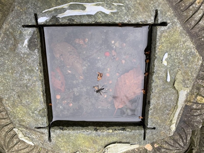 токио, япония Минимализмphoto preview