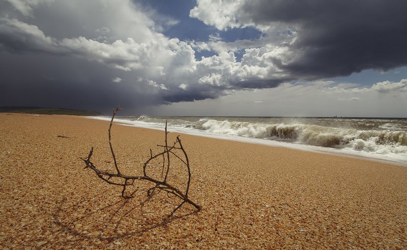 крым, crimea, опук, черное море, заповедник Между штормовphoto preview