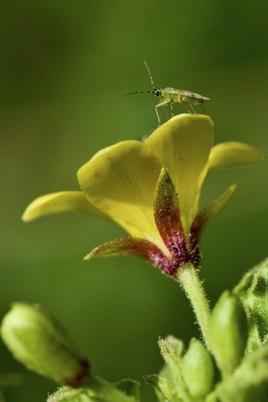 Waitingphoto preview