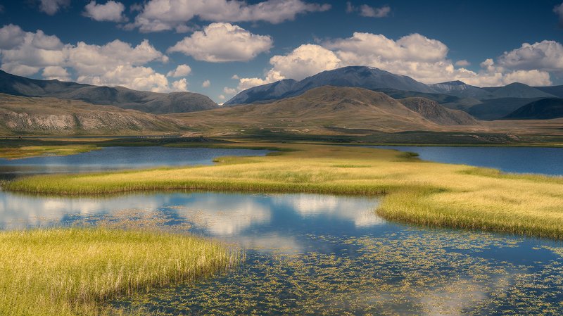 пейзаж, панорама, горы, озеро, алтай, сибирь, природа, путешествия, буйлюкем, ряска, трава, небо, облака, отражения, панорама, путешествия, большой, красивая Озёра Буйлюкемаphoto preview