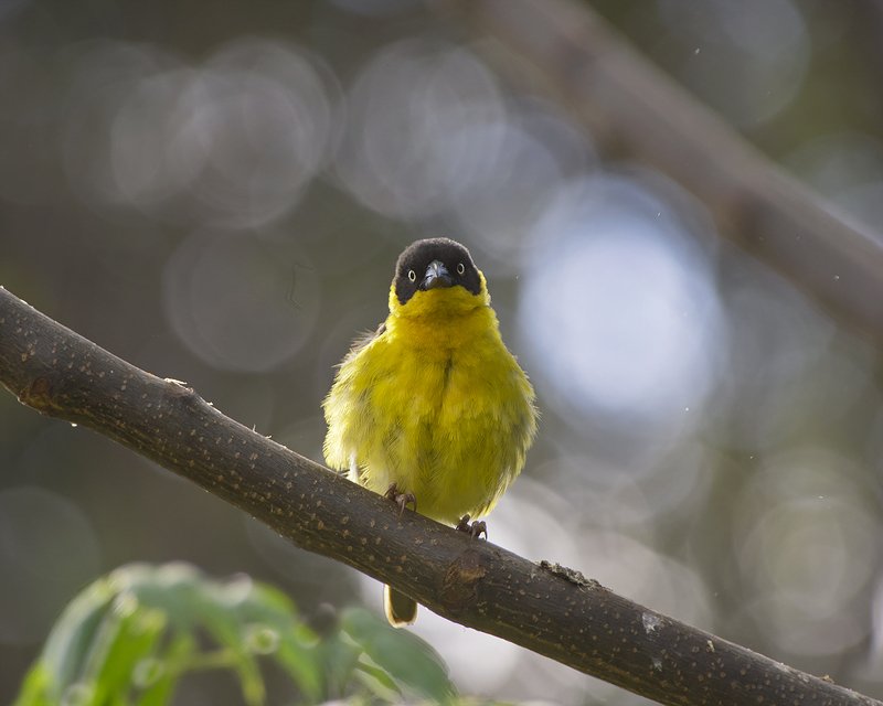 Привет!photo preview