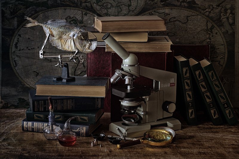 Вомер. Эра исследователей!photo preview